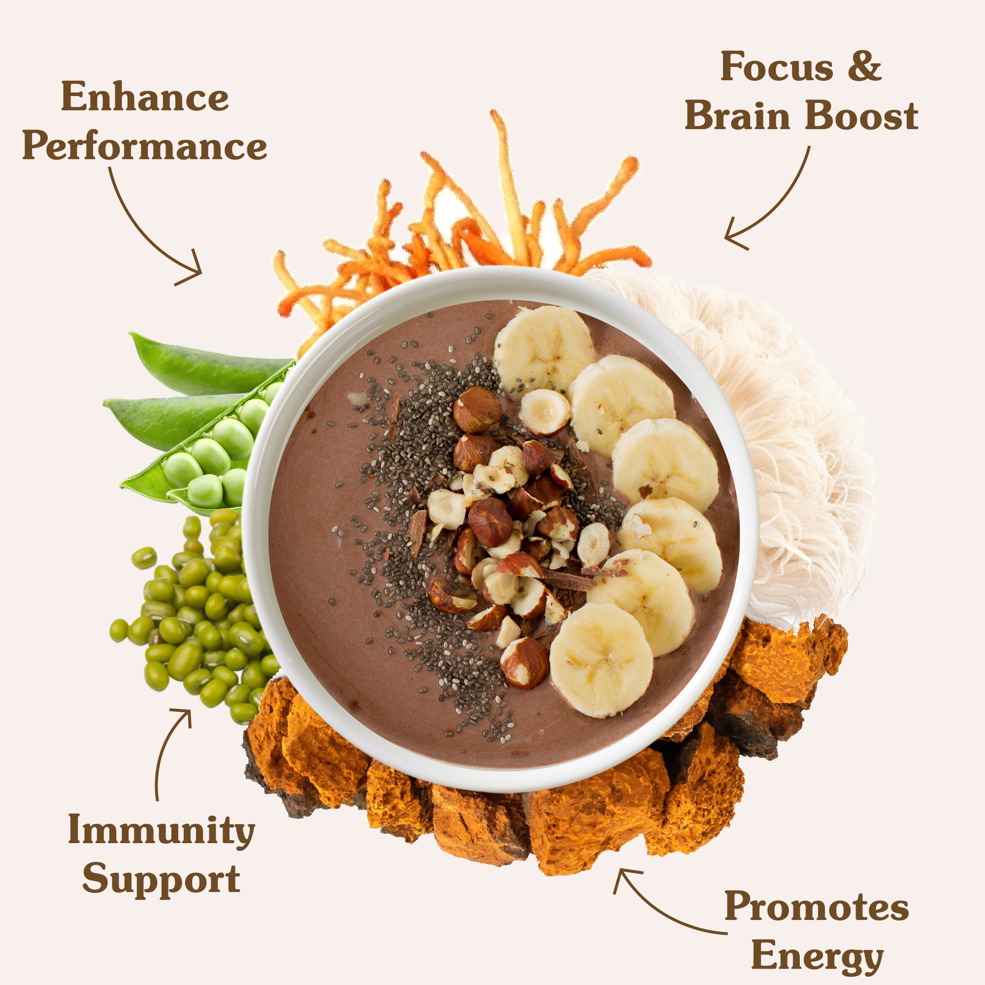 Benefits of plant power protein