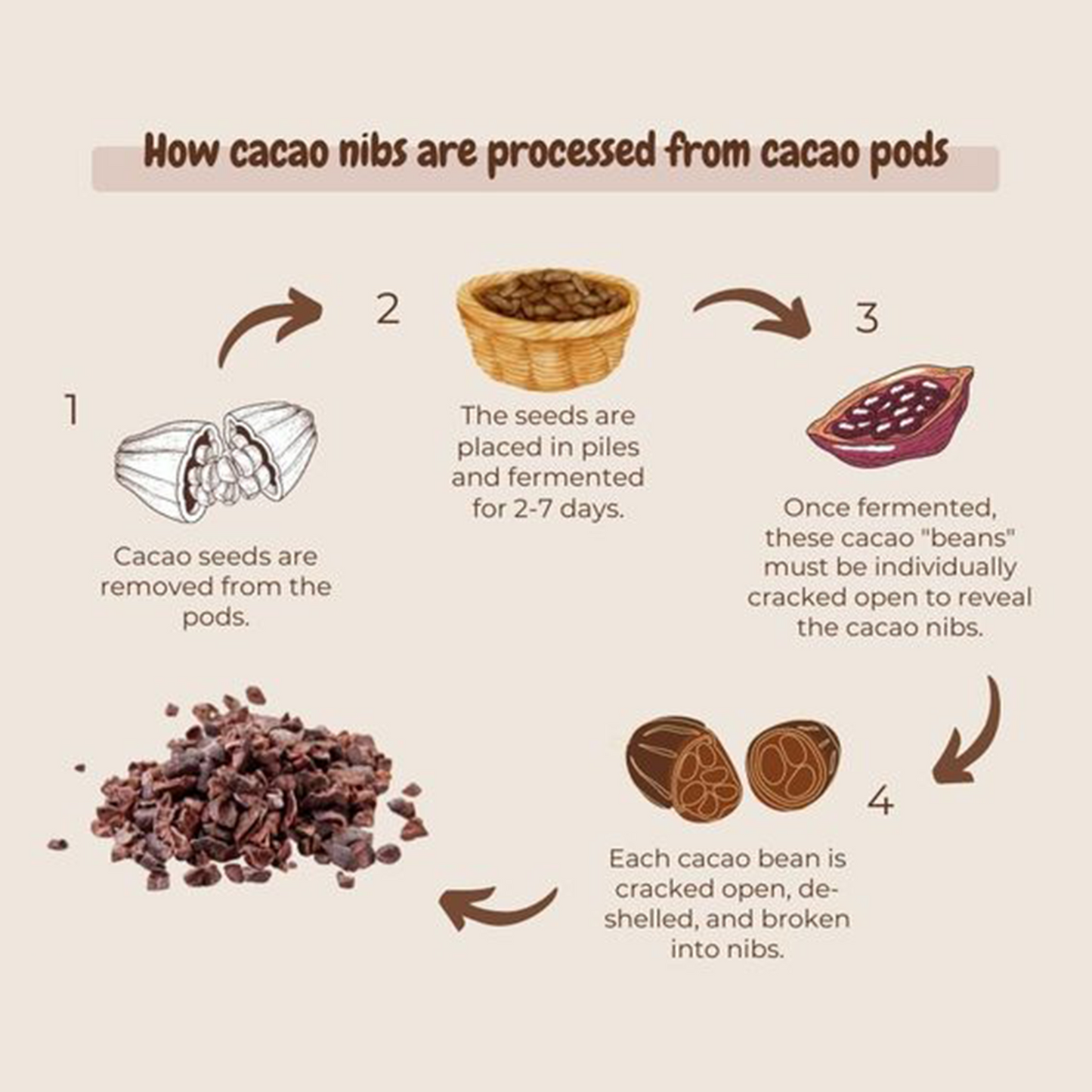 Cacao nibs