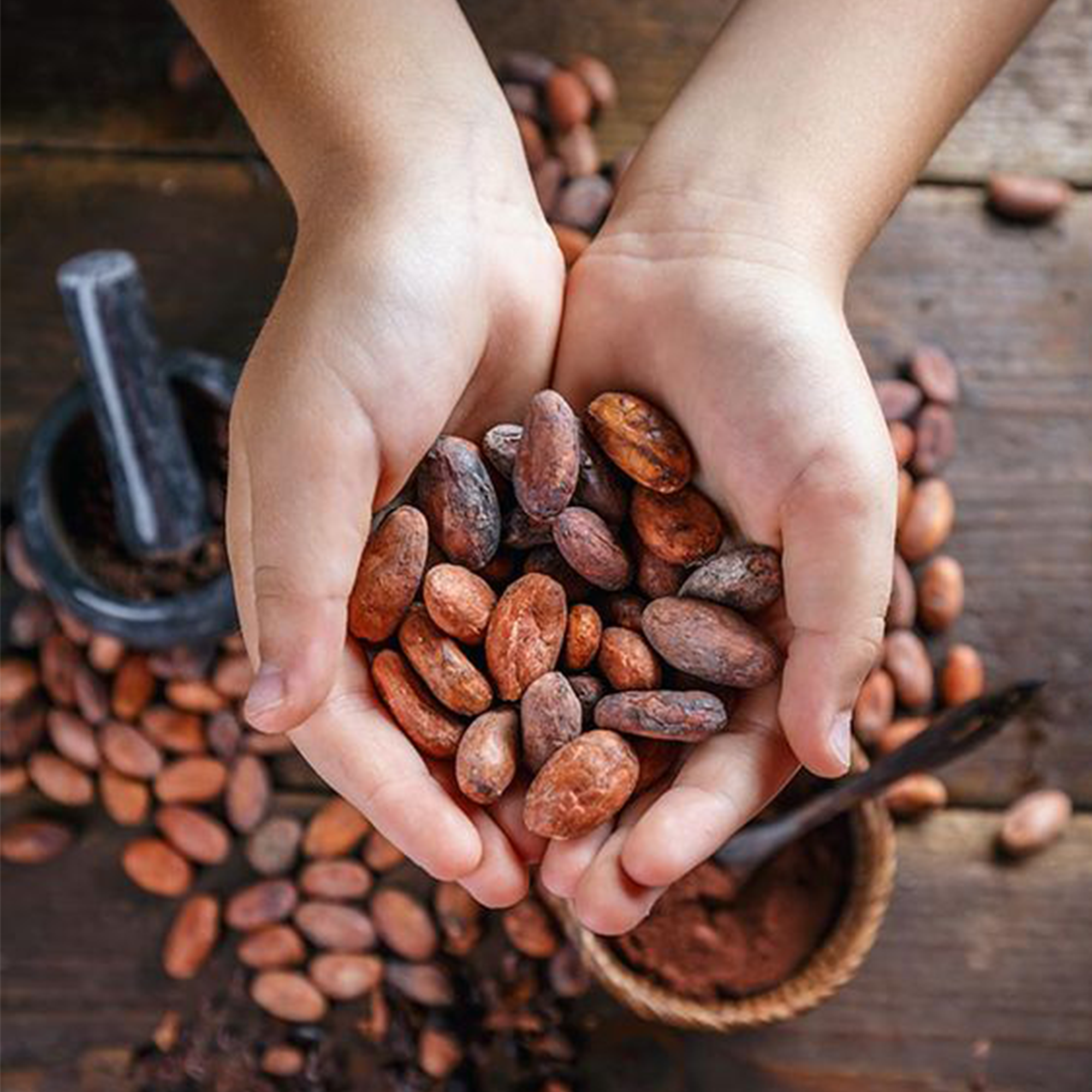Cacao
