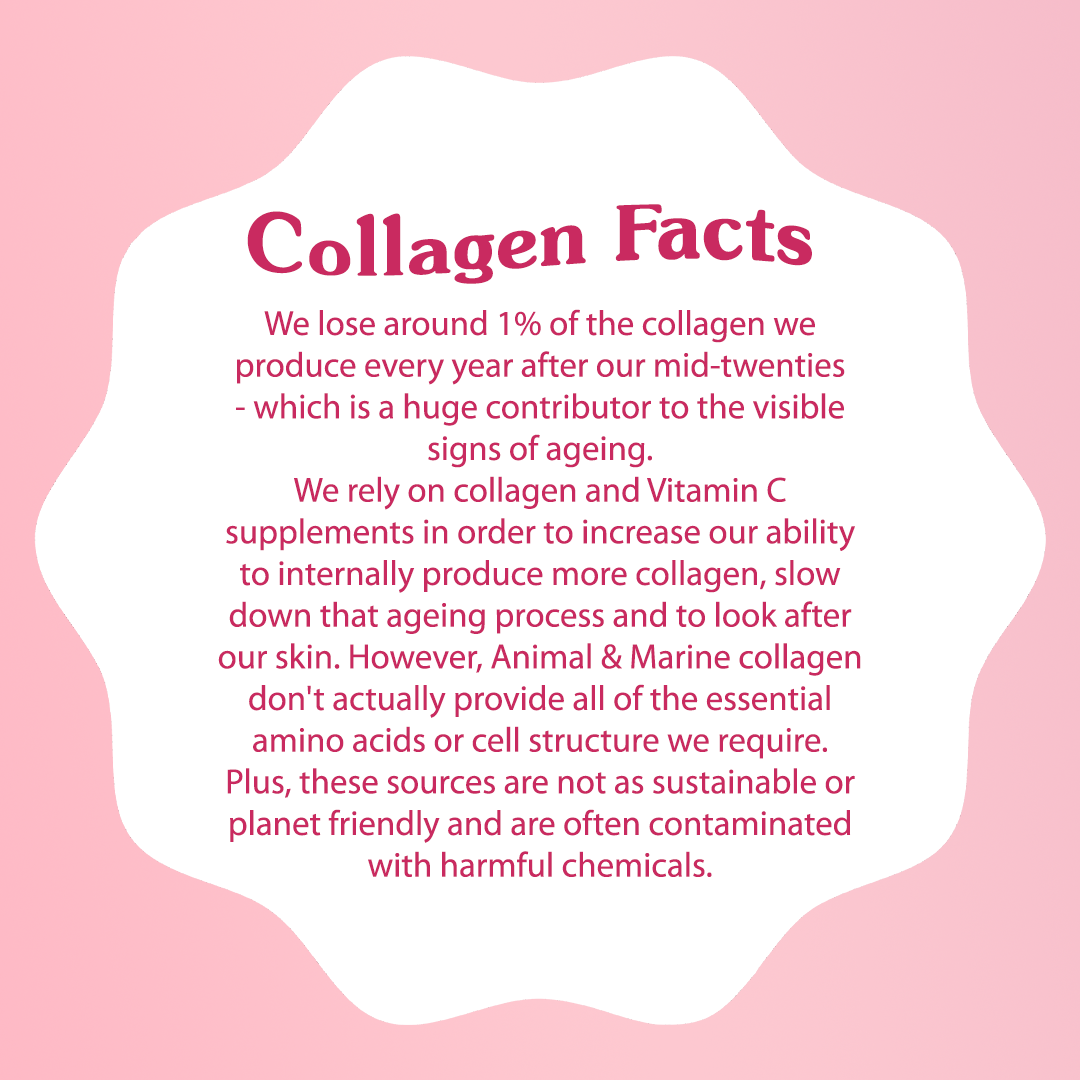 Forest Vegan Plant Collagen+ Powder