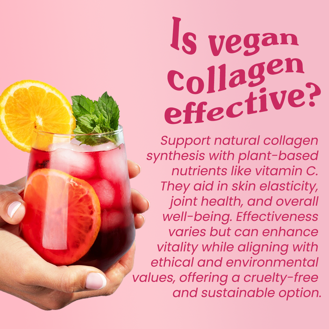 Forest Vegan Plant Collagen+ Powder