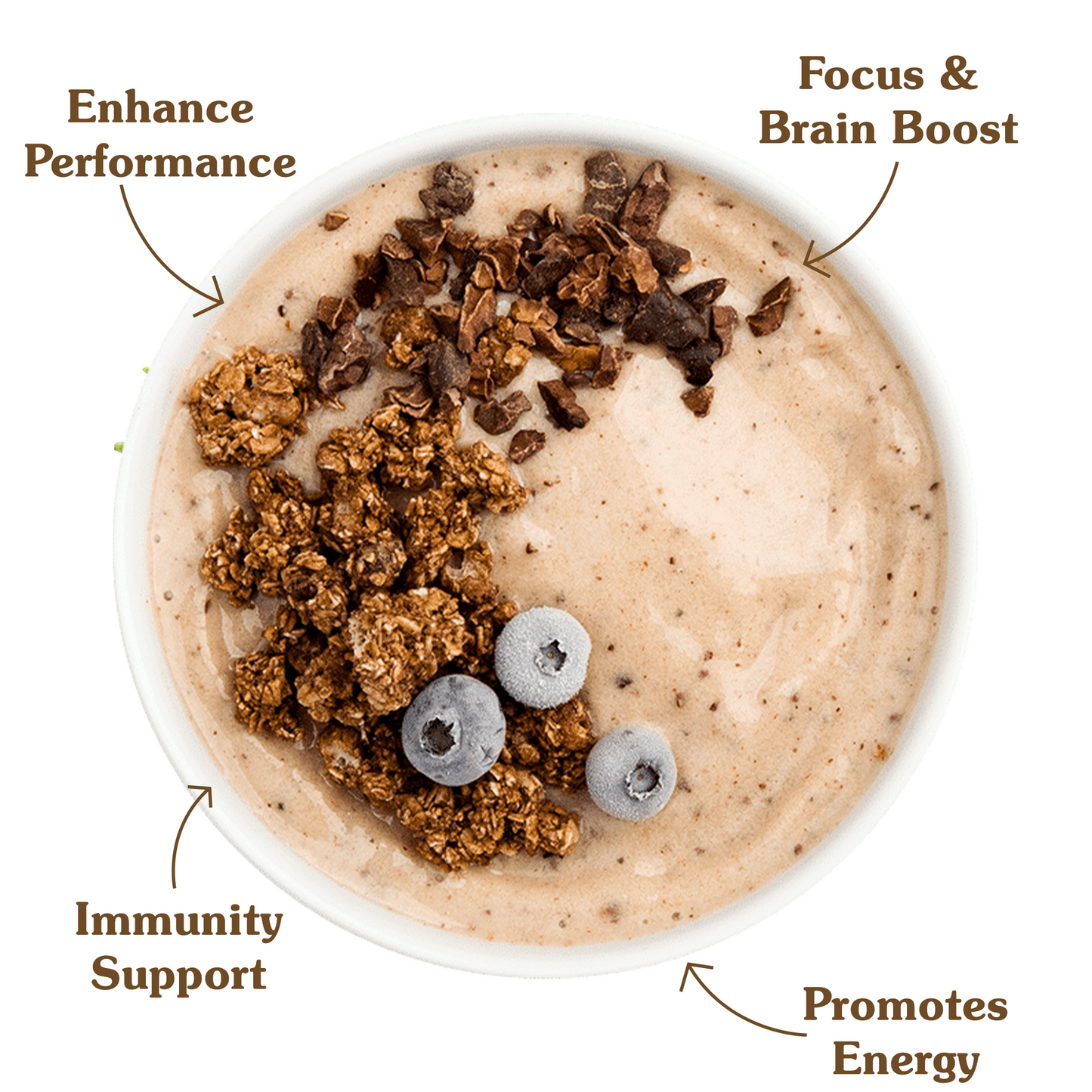 Forest Performance Protein. |Collagen, Whey & Superfoods.|