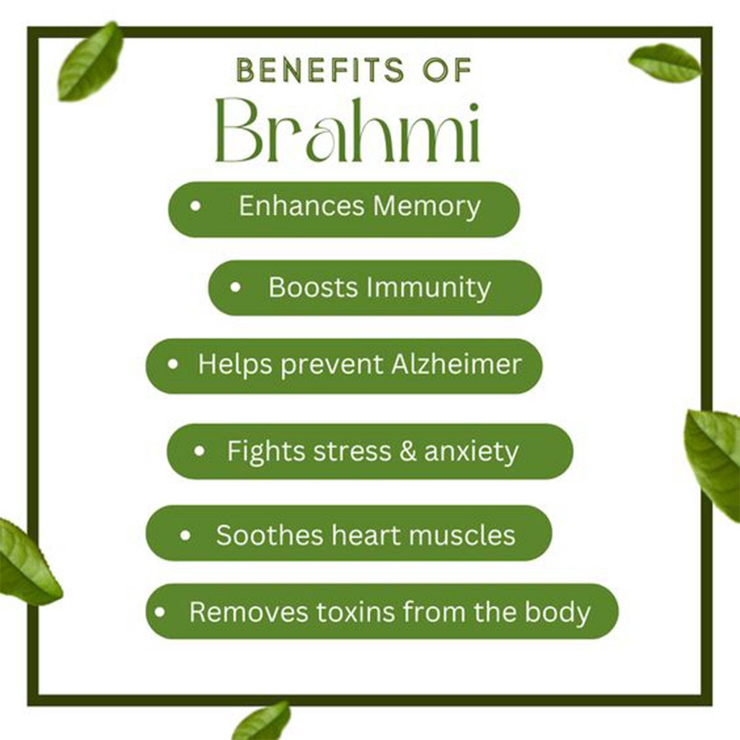Organic Brahmi Powder   ‎   ‎