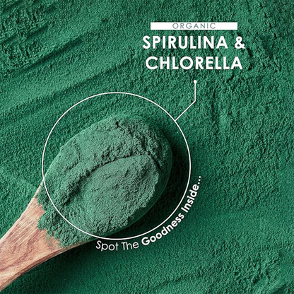 chlorella Powder