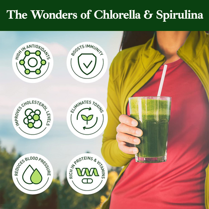 chlorella Powder